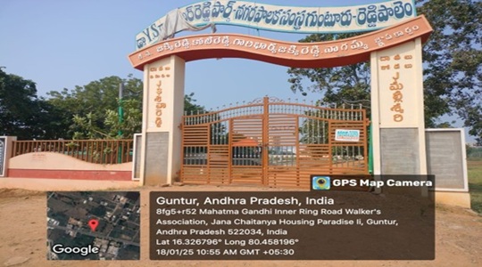Park Image