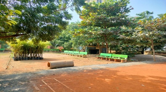 Park Image