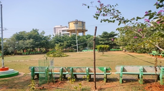 Park Image