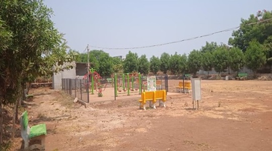 Park Image