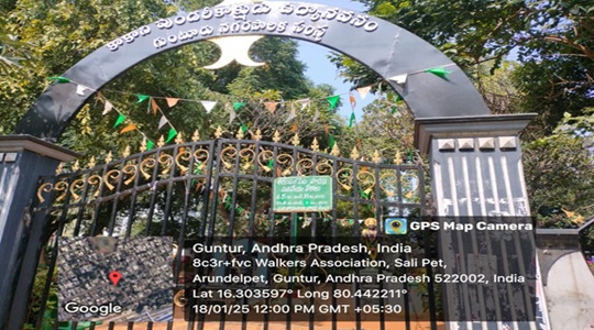 Park Image