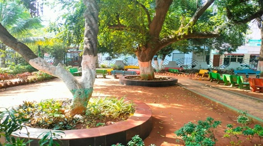 Park Image