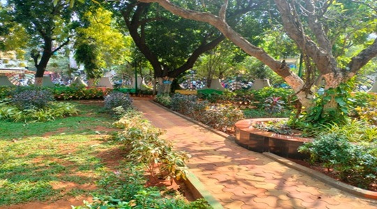 Park Image