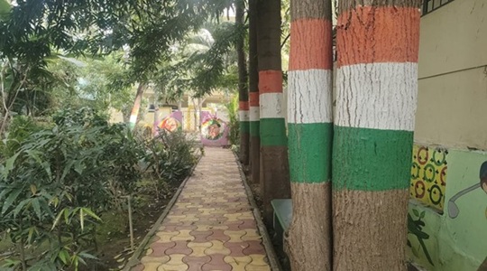 Park Image