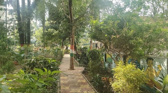 Park Image