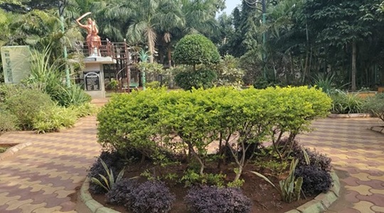 Park Image