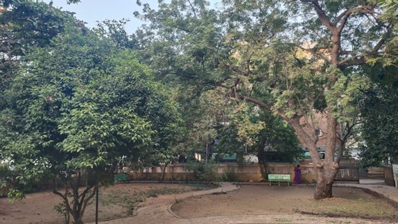 Park Image