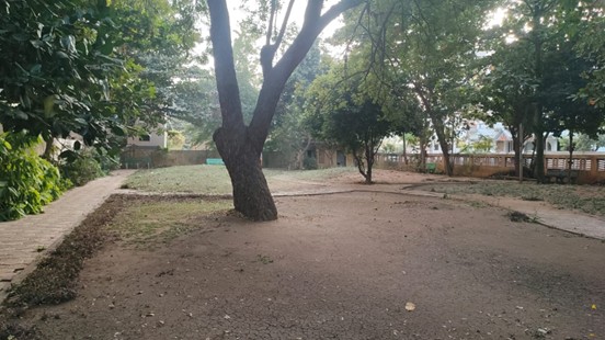 Park Image