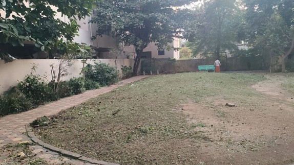 Park Image