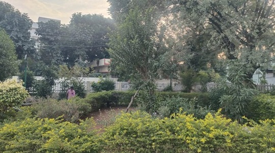 Park Image