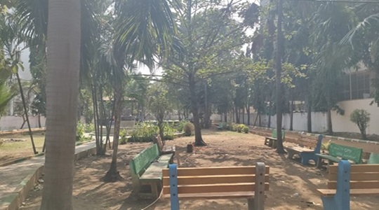 Park Image