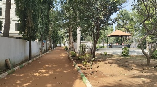 Park Image