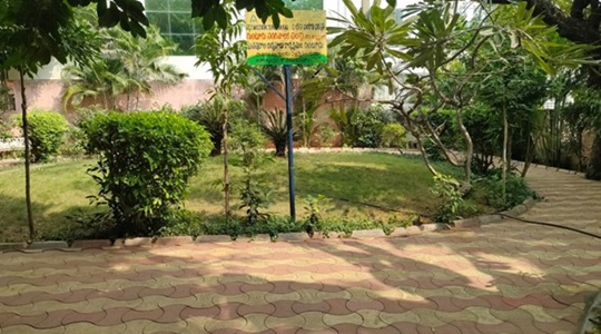Park Image