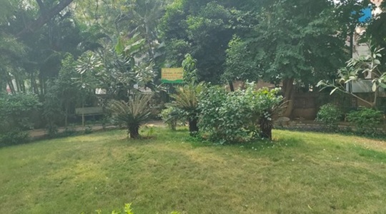 Park Image