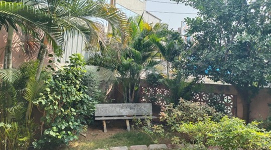 Park Image