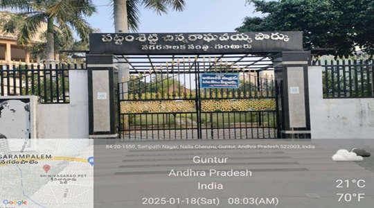 Park Image
