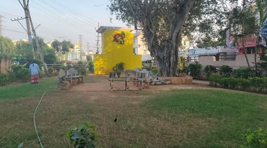Park Image