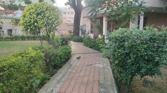 Park Image