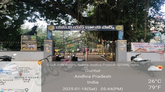 Park Image