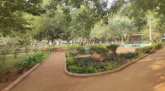 Park Image