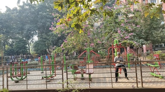 Park Image