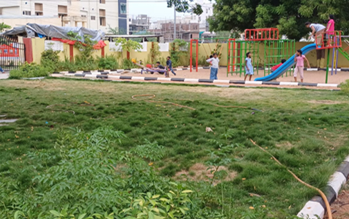 Park Image