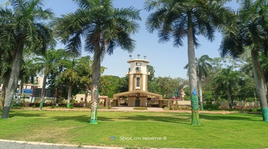 Park Image