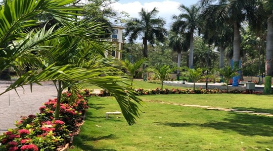 Park Image