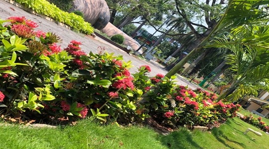Park Image