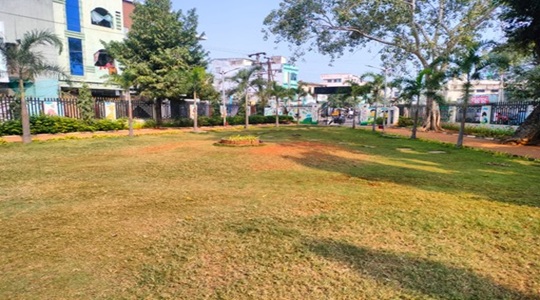 Park Image