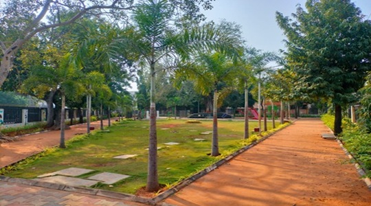 Park Image