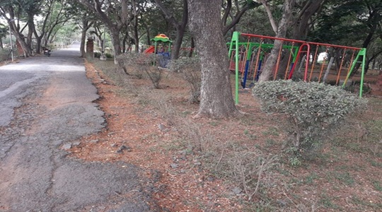 Park Image