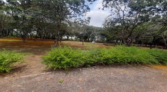 Park Image