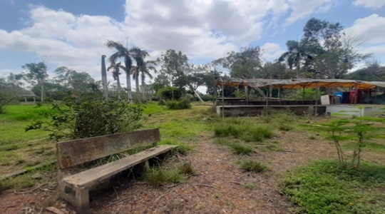 Park Image