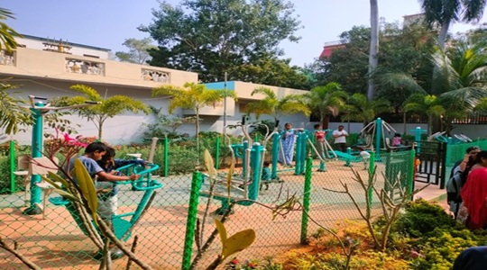 Park Image