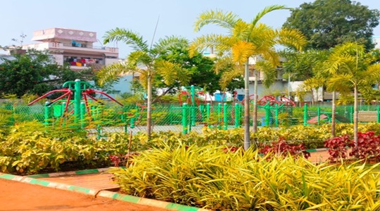 Park Image
