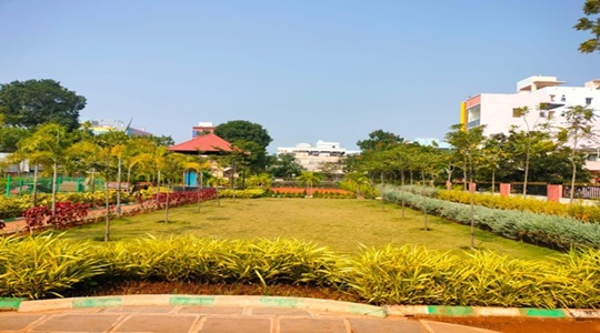 Park Image