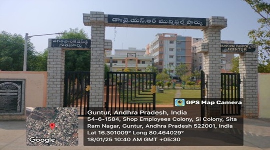 Park Image