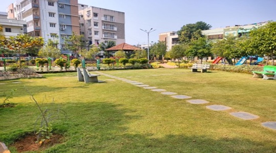 Park Image